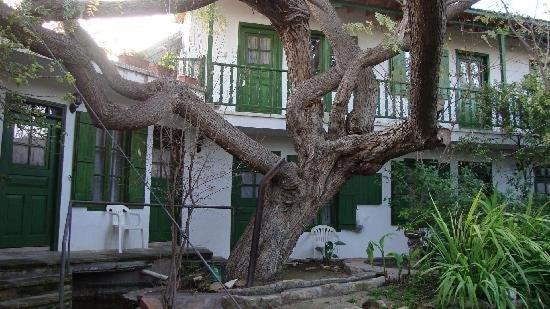 Antony'S Garden House Panzió Episkopi  Kültér fotó